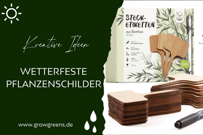 32er Set Pflanzenschilder Aus Buchsbaumholz – Wetterfest, Mit Wasserfestem Marker – Für Kräuter, Gemüse & Blumen – 15 Cm Hoch, 6,3 X 4,2 Cm Schreibfläche 32er Set Pflanzenschilder Aus Buchsbaumholz – Wetterfest, Mit Wasserfestem Marker – Für Kräuter, Gemüse & Blumen – 15 Cm Hoch, 6,3 X 4,2 Cm Schreibfläche