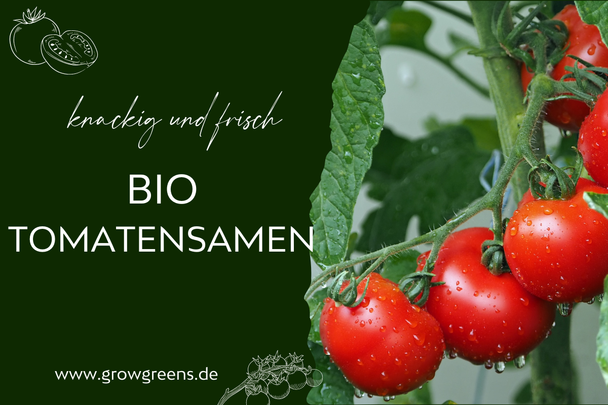 Bio Tomaten Samen - Pflanze viele Tomatensorten in deinem Garten