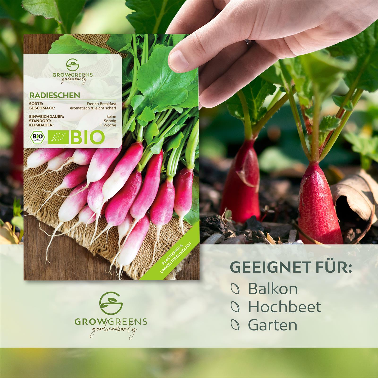 BIO Radieschen Samen (French Breakfast) - Radieschen Saatgut aus biologischem Anbau (75 Korn)