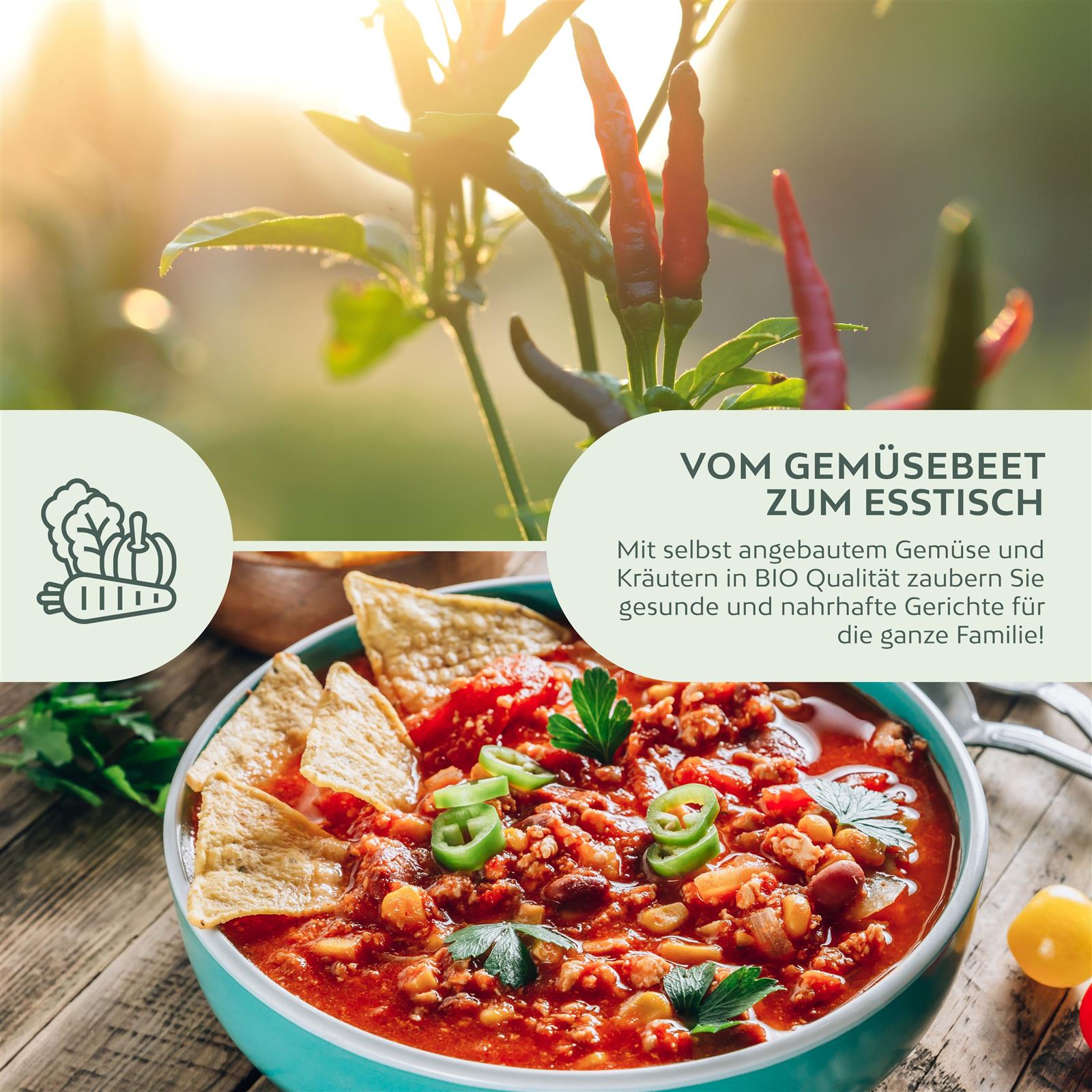 BIO Chili Samen (De Cayenne, 50.000 Scoville) - Chili Saatgut aus biologischem Anbau (10 Korn)