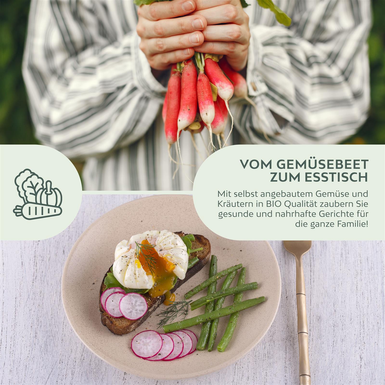 BIO Radieschen Samen (French Breakfast) - Radieschen Saatgut aus biologischem Anbau (75 Korn)