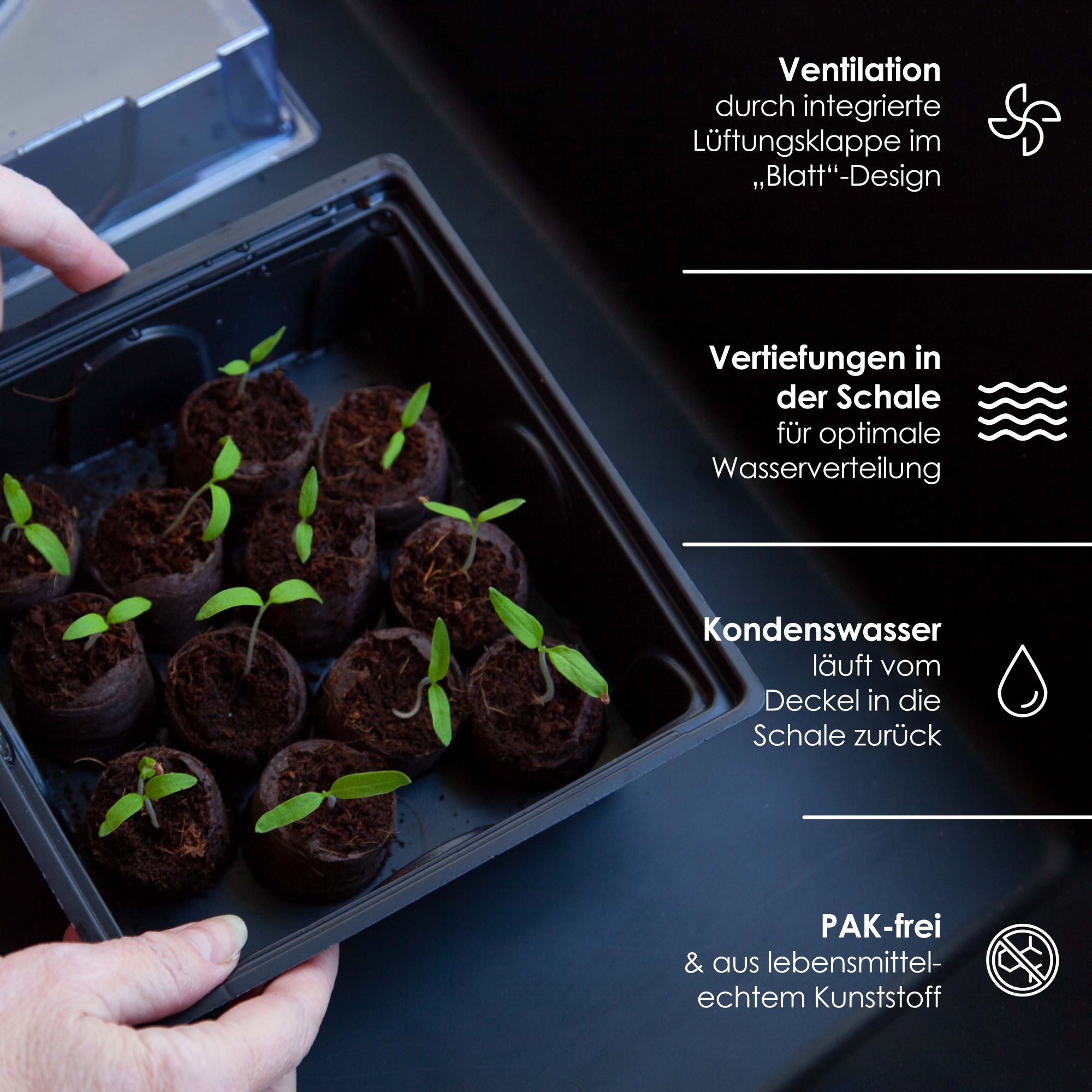 Gewächshaus Set mit 60 Kokostabs - Für die Anzucht von Kräutern, Gemüse & Blumen