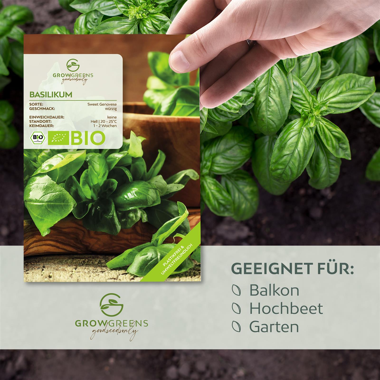 BIO Basilikum Samen Sweet Genovese - Küchenkräuter Saatgut aus biologischem Anbau (400 Korn)