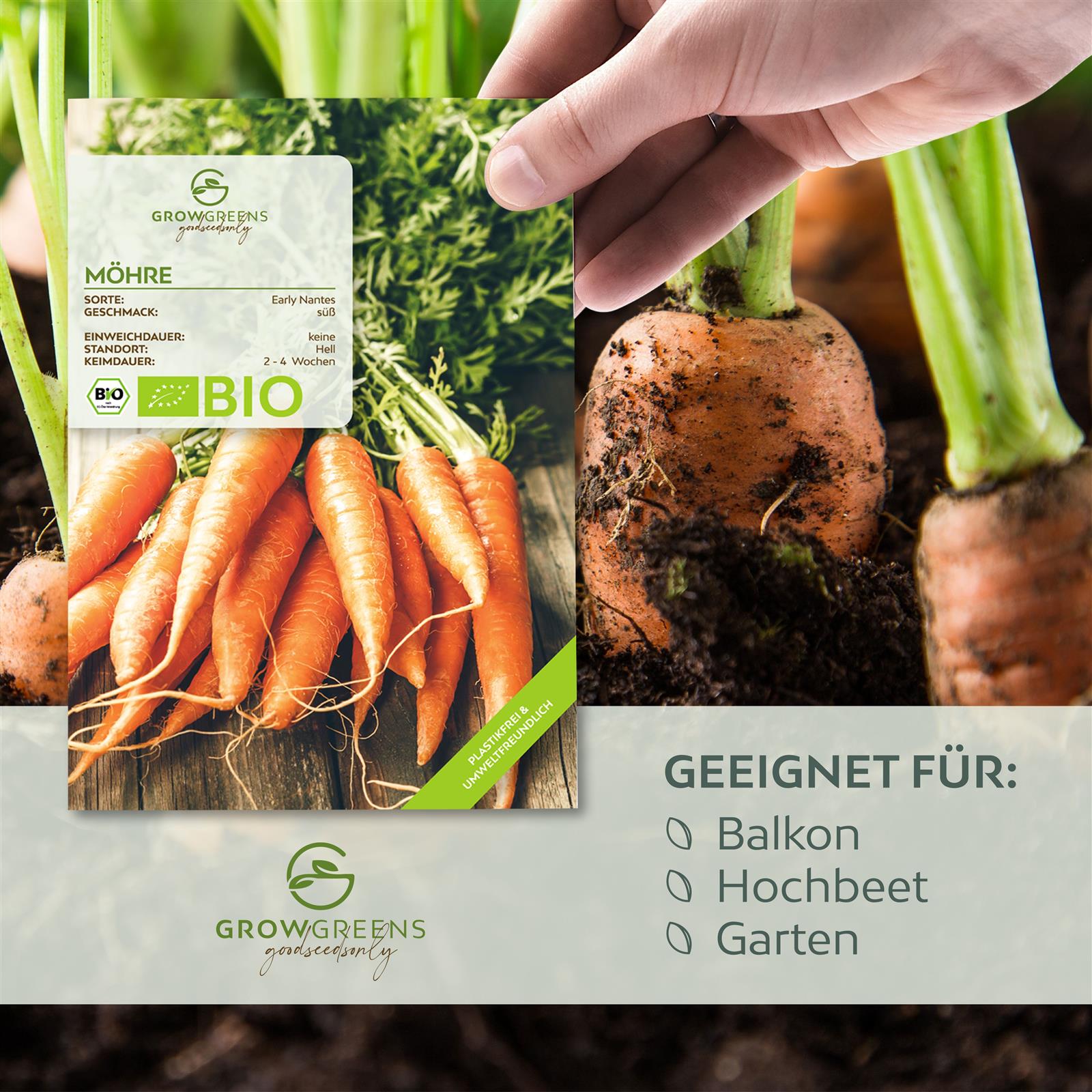 BIO Karotten Samen (Early Nantes) - Möhren Saatgut aus biologischem Anbau (500 Korn)