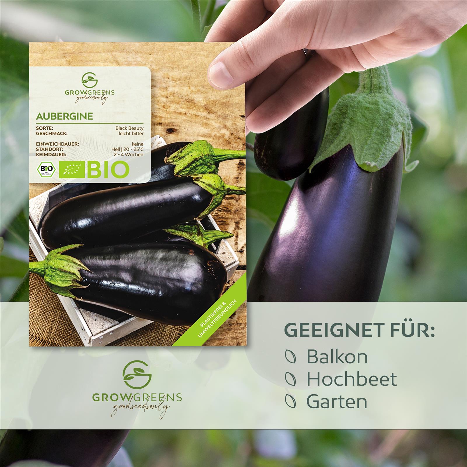 BIO Aubergine Samen (Black Beauty) - Auberginen Saatgut aus biologischem Anbau (25 Korn)