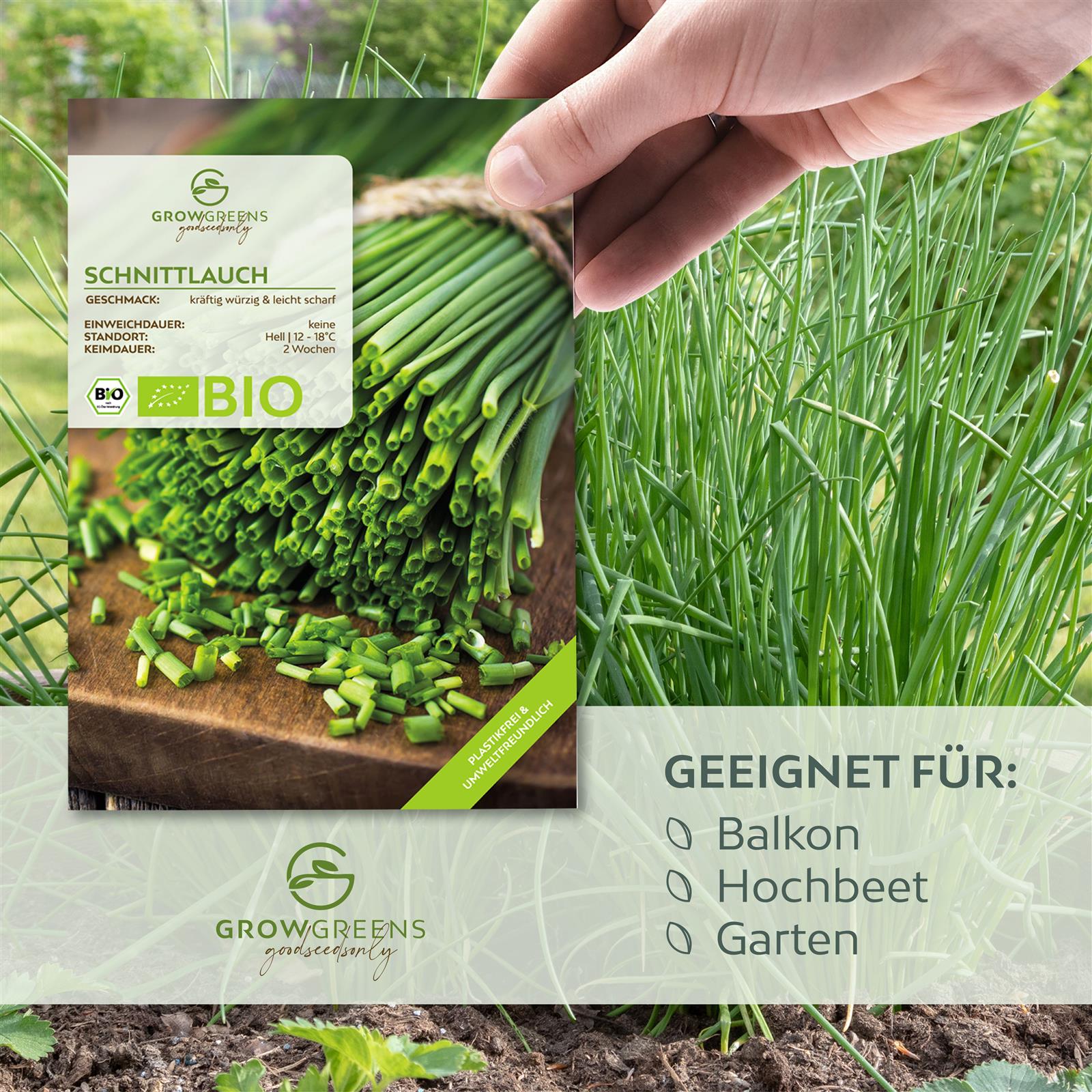 BIO Schnittlauch Samen - Küchenkräuter Saatgut aus biologischem Anbau (125 Korn)