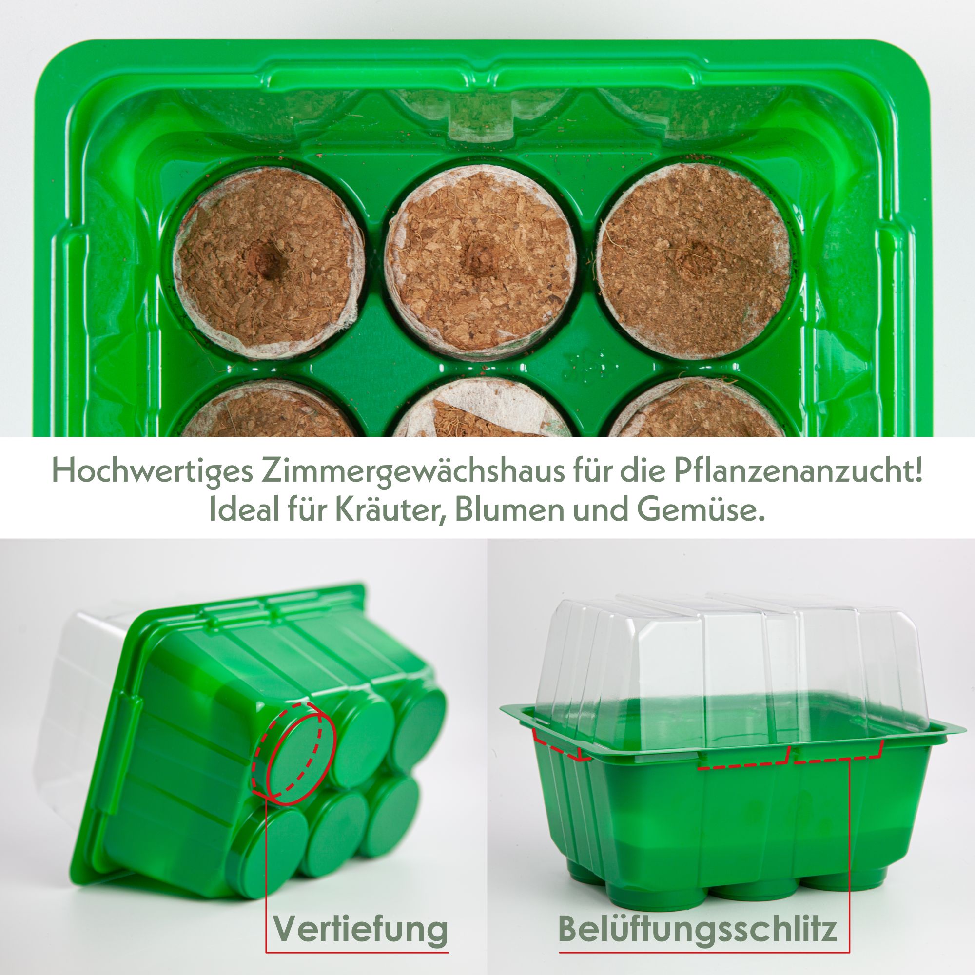 Mini-Gewächshaus inkl. Kokosscheiben in den Maße 16 x 11,5 x 11cm -Made in Germany-