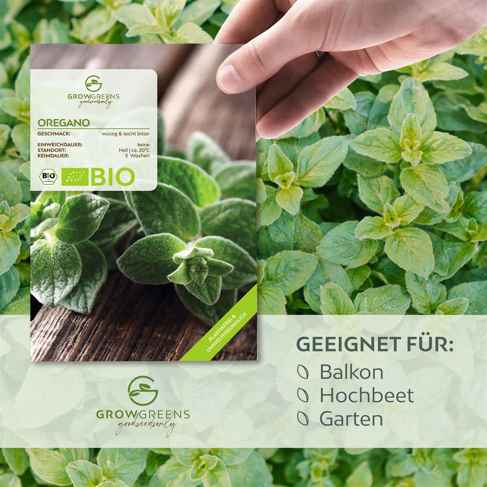 BIO Oregano Samen - Küchenkräuter Saatgut aus biologischem Anbau (750 Korn)