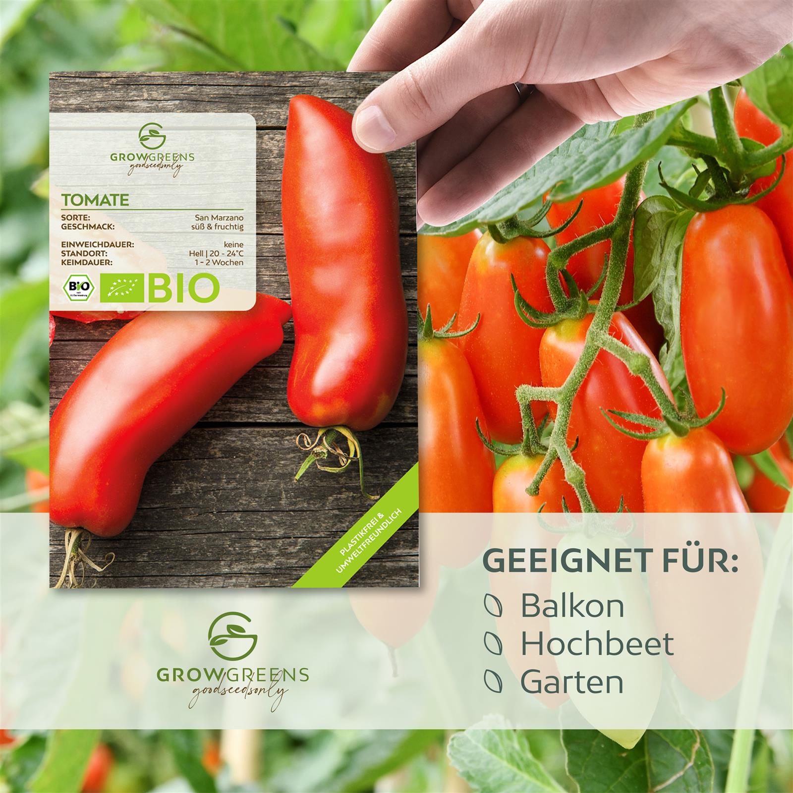 BIO Tomatensamen (San Marzano) - Tomaten Saatgut aus biologischem Anbau (10 Korn)