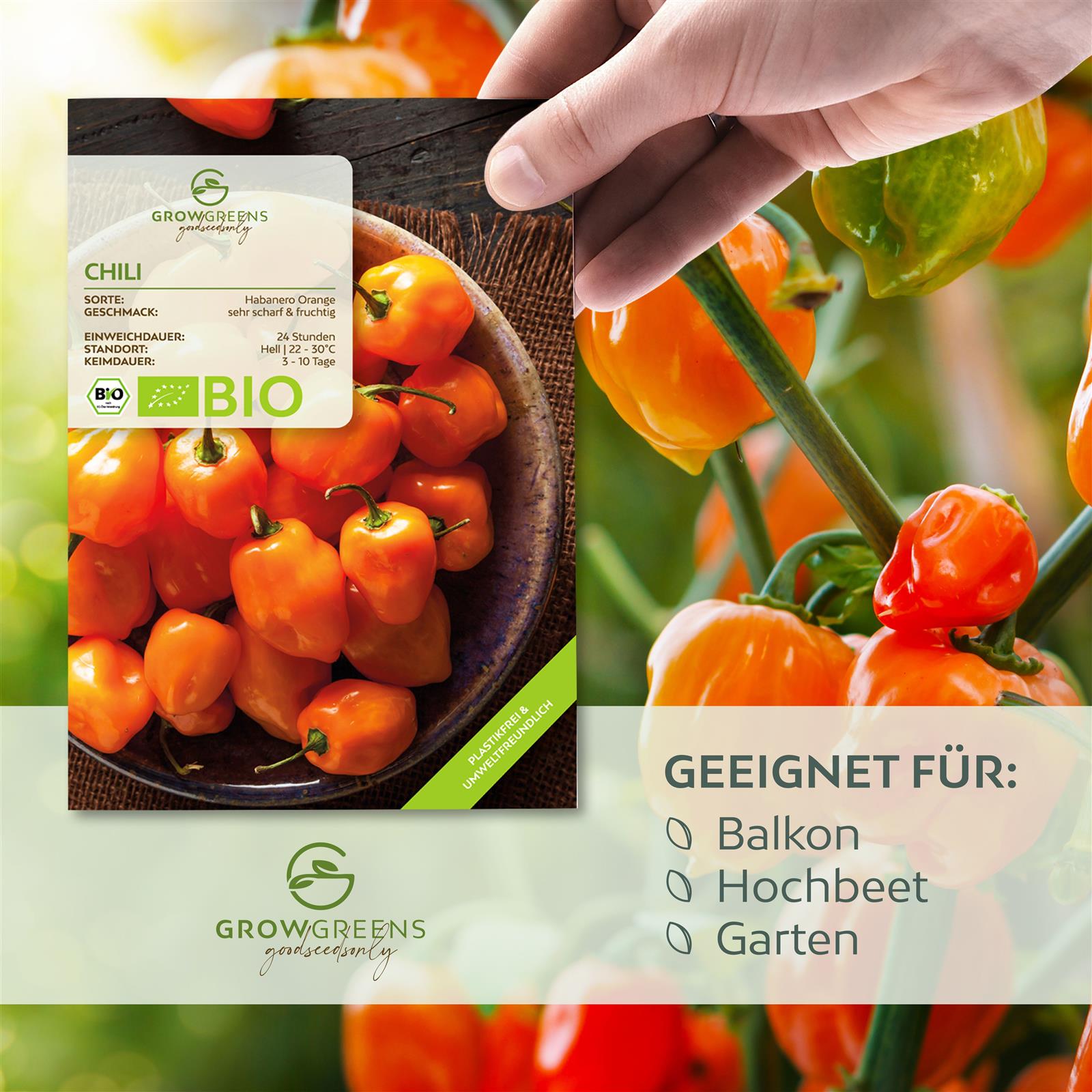 BIO Chili Samen (Habanero Orange, 250.000 Scoville) - Chili Saatgut aus biologischem Anbau (10 Korn)