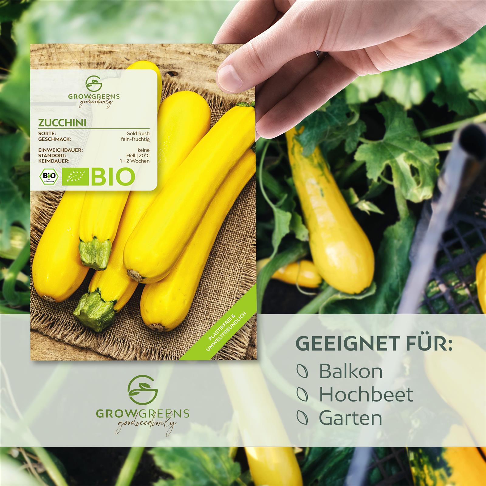 BIO Zucchini Samen Gelb (Gold Rush) - Zucchini Saatgut aus biologischem Anbau (5 Korn)