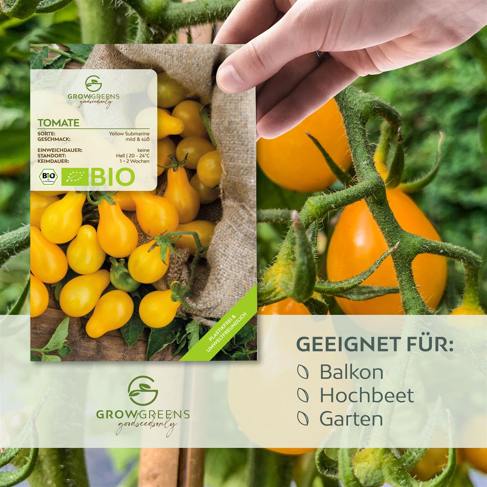 BIO Tomatensamen (Yellow Submarine) - Tomaten Saatgut aus biologischem Anbau (10 Korn)