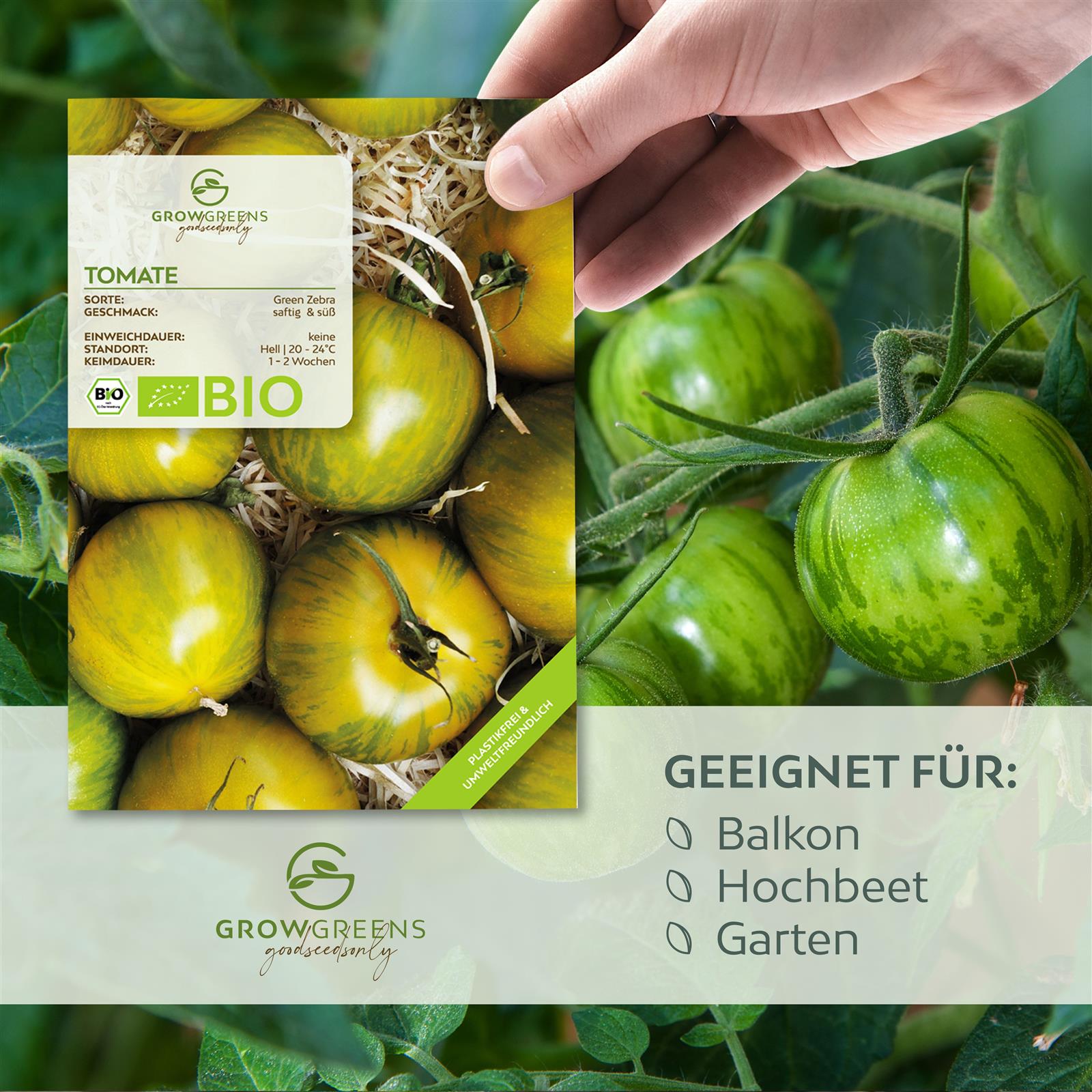 BIO Tomatensamen (Green Zebra) - Tomaten Saatgut aus biologischem Anbau (10 Korn)