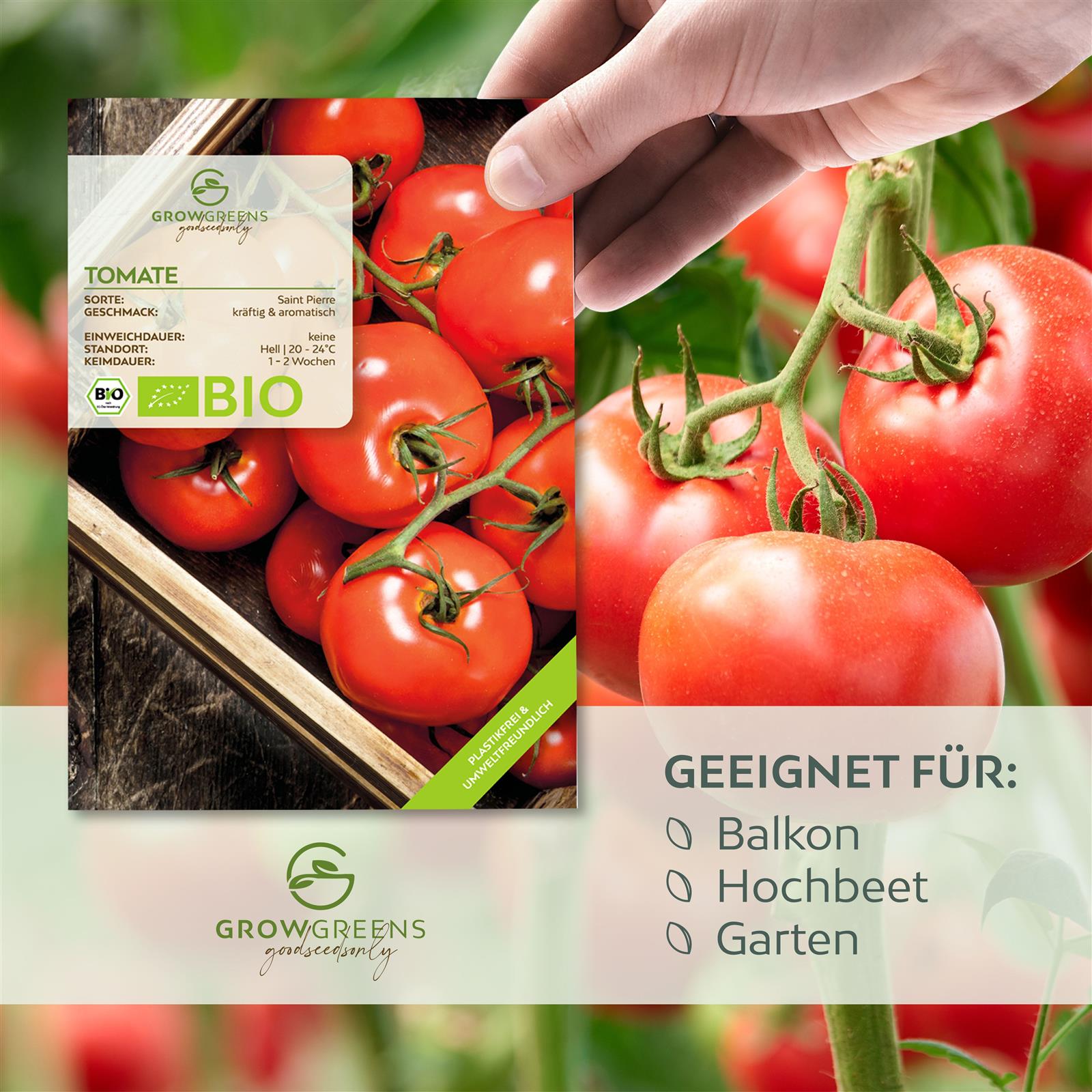BIO Tomatensamen (Saint Pierre) - Tomaten Saatgut aus biologischem Anbau (10 Korn)