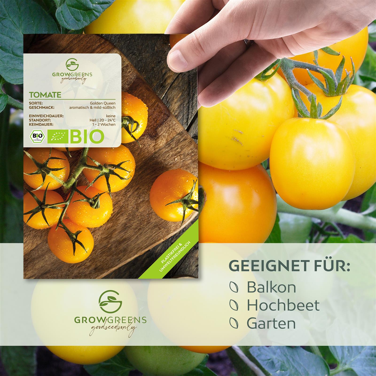 BIO Tomatensamen (Golden Queen) - Tomaten Saatgut aus biologischem Anbau (10 Korn)