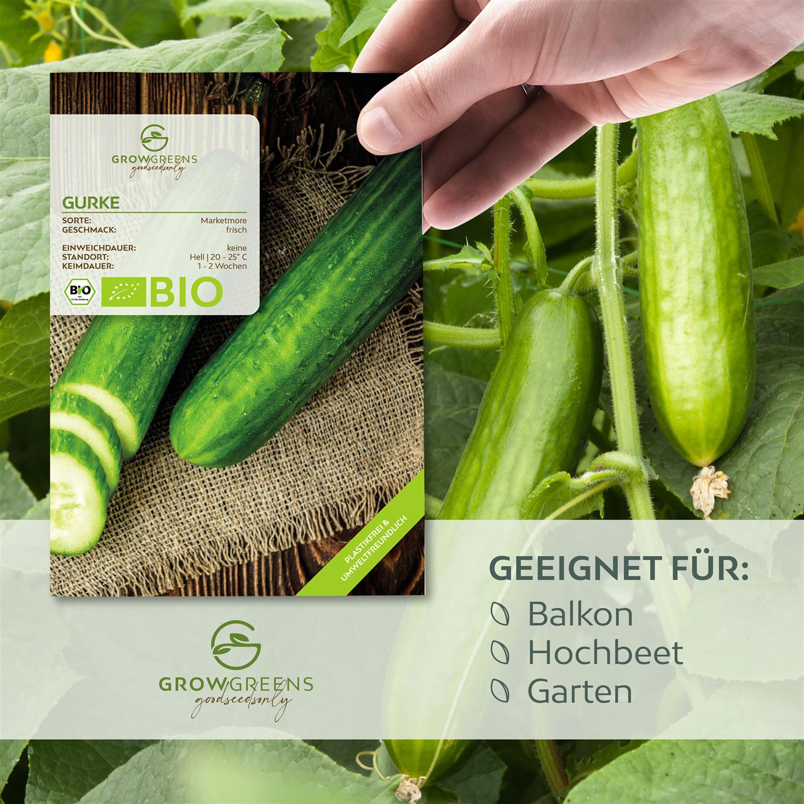 BIO Gurken Samen (Marketmore) - Salatgurke Saatgut aus biologischem Anbau (10 Korn)