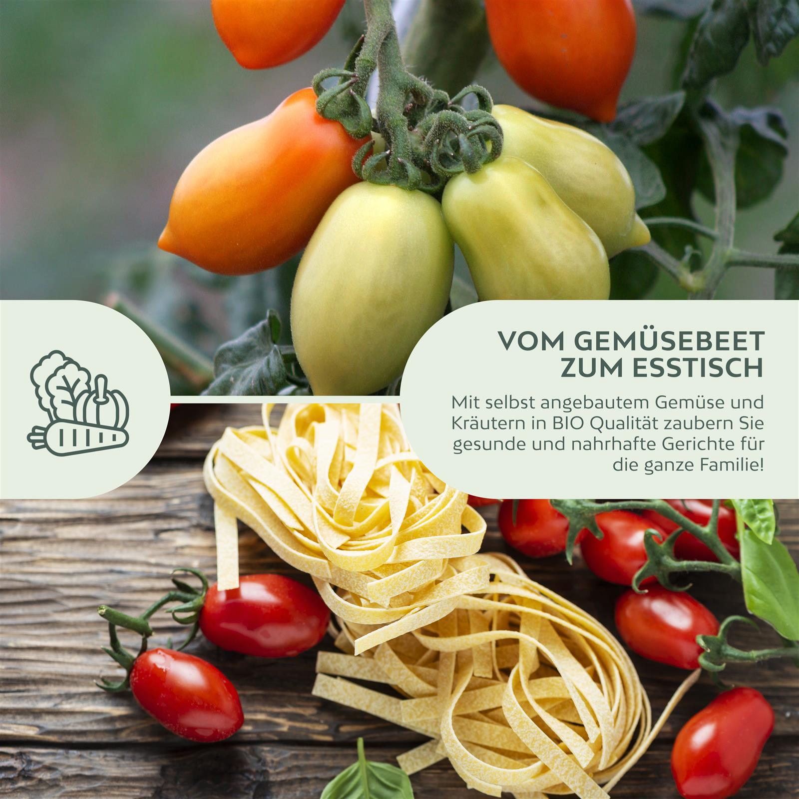 BIO Tomatensamen (Principe Borghese) - Tomaten Saatgut aus biologischem Anbau (10 Korn)
