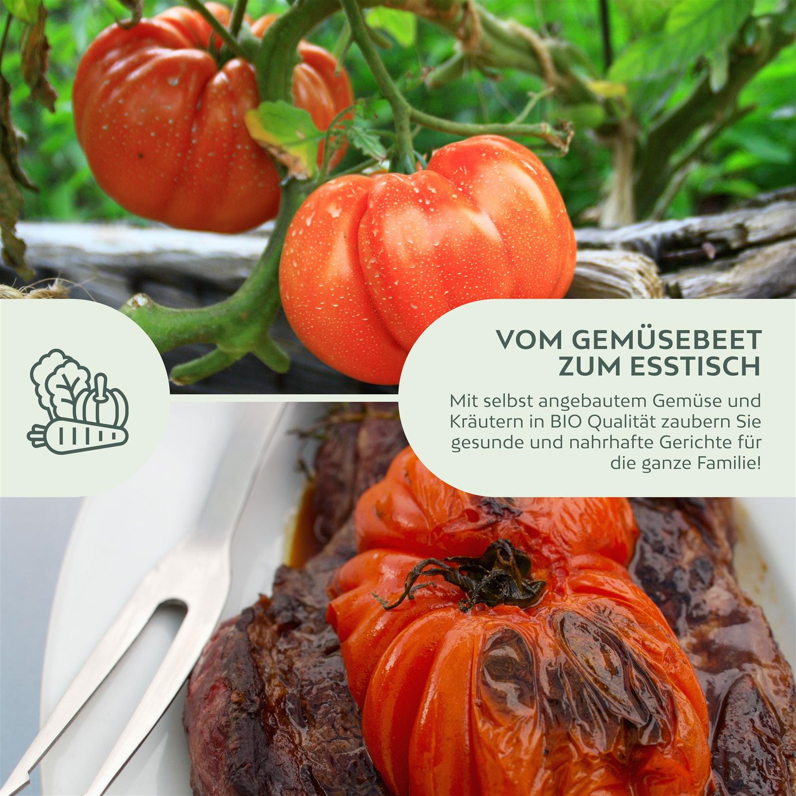 BIO Tomatensamen (Ochsenherz) - Tomaten Saatgut aus biologischem Anbau (10 Korn)