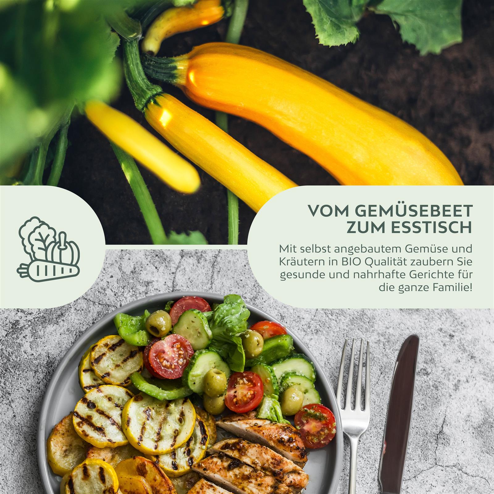 BIO Zucchini Samen Gelb (Gold Rush) - Zucchini Saatgut aus biologischem Anbau (5 Korn)