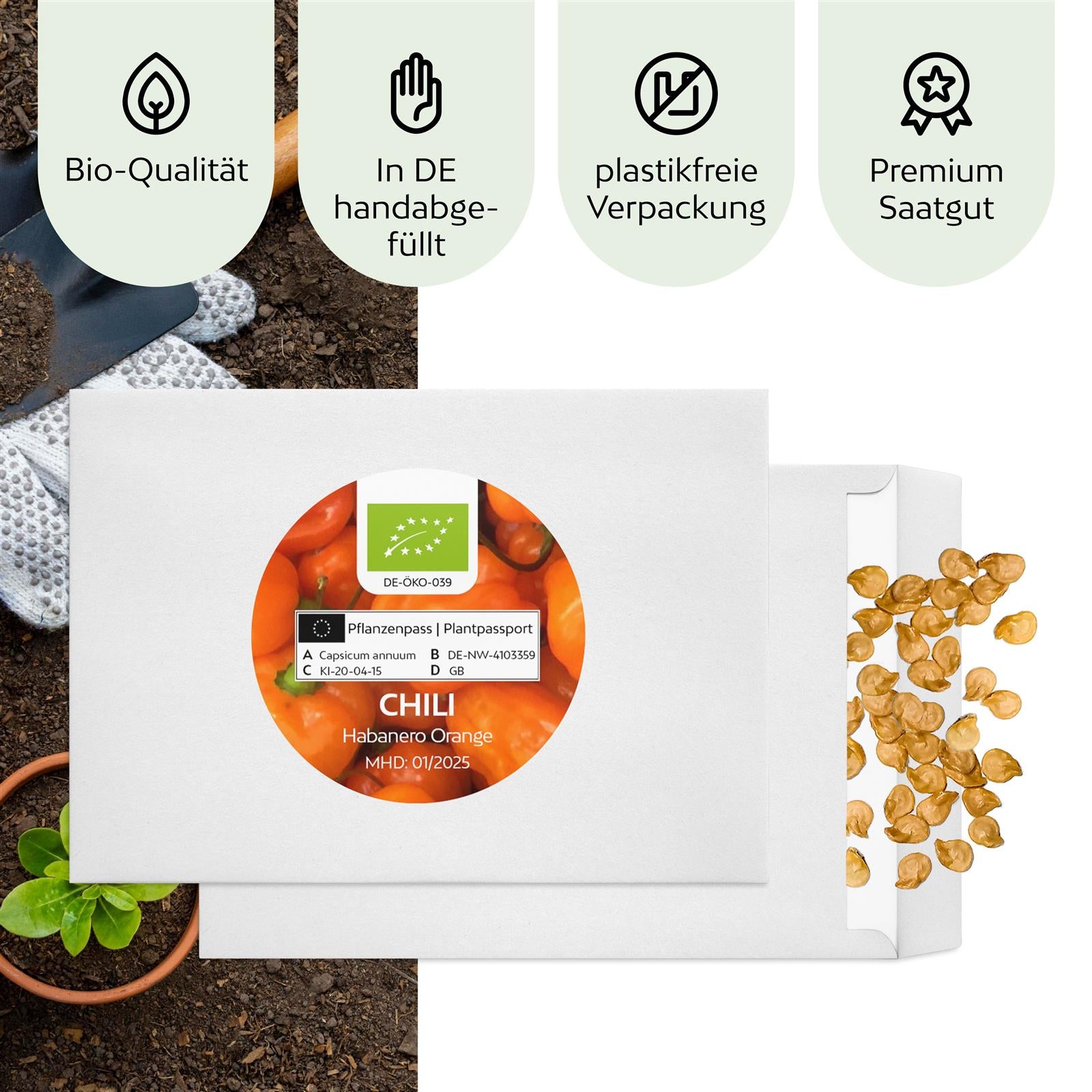 BIO Chili Samen (Habanero Orange, 250.000 Scoville) - Chili Saatgut aus biologischem Anbau (10 Korn)