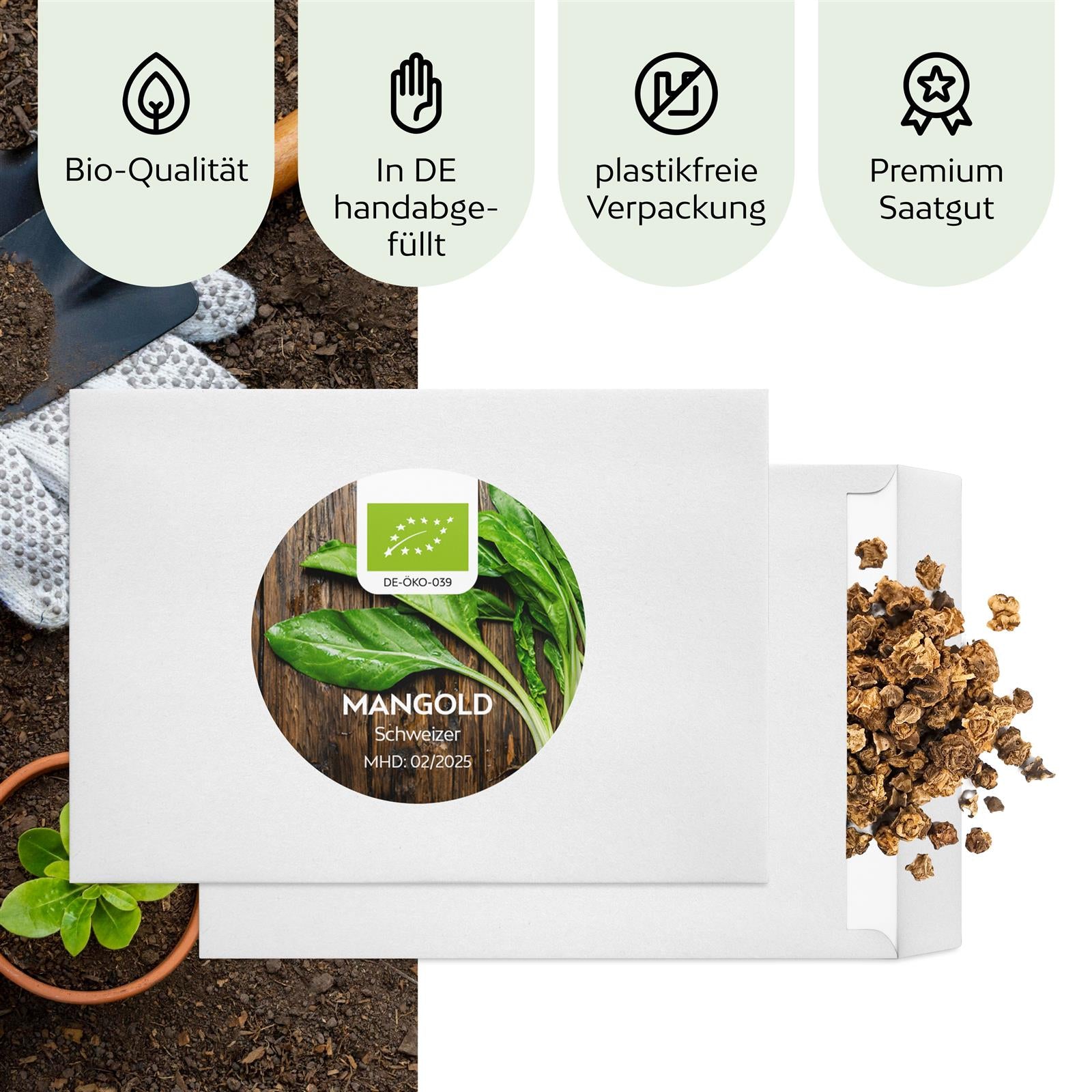 BIO Mangold Samen (Schweizer) - Mangold Saatgut aus biologischem Anbau (75 Korn)
