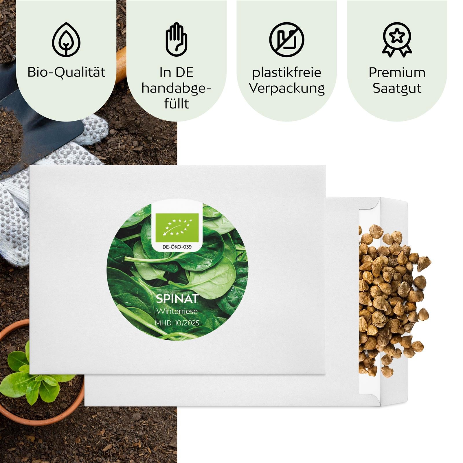 BIO Spinat Samen (Winterriese) - Winterspinat Saatgut aus biologischem Anbau (125 Korn)