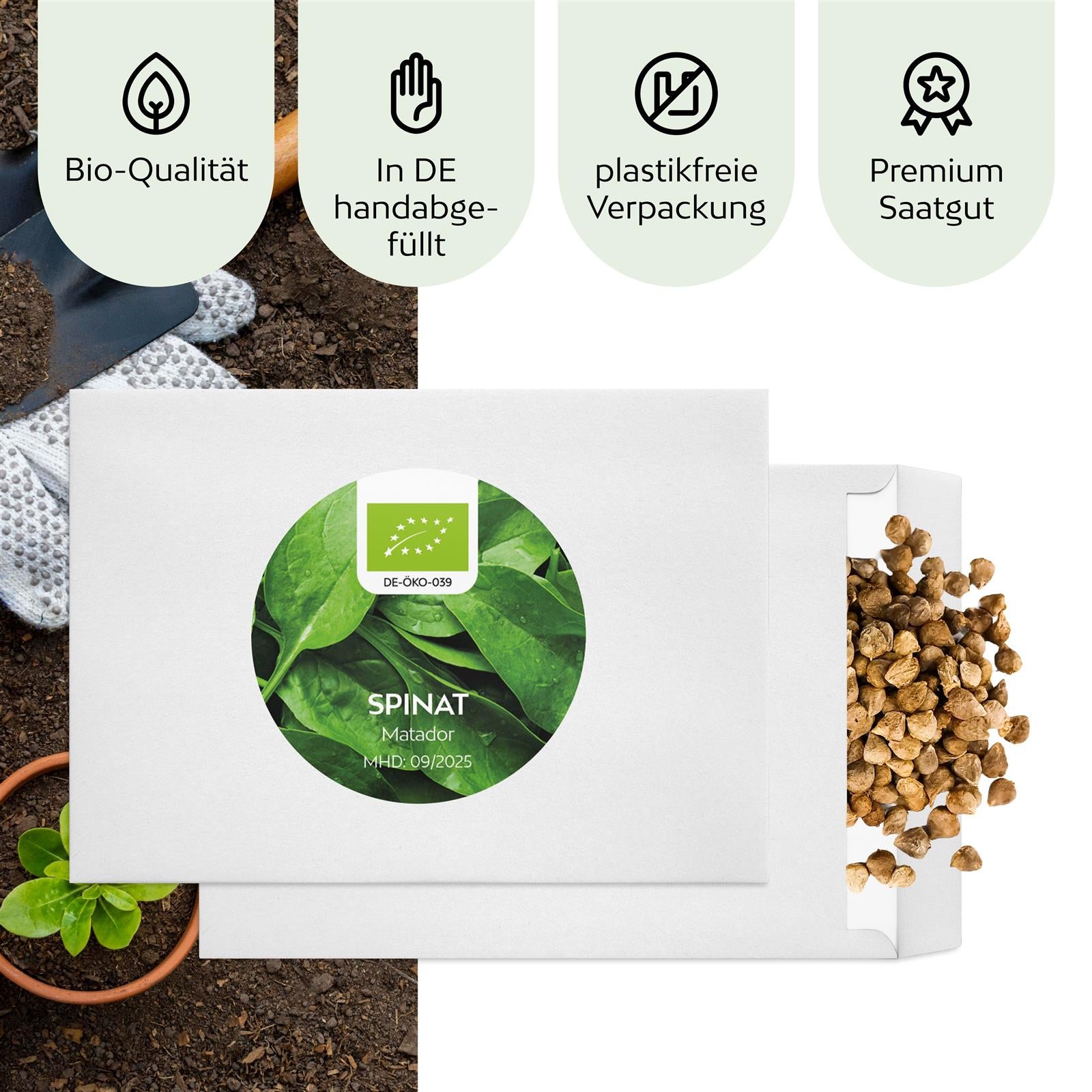 BIO Spinat Samen (Matador) - Spinat Saatgut aus biologischem Anbau (150 Korn)