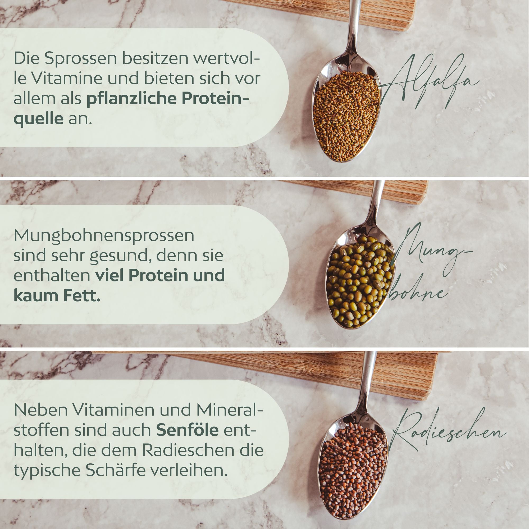 Sprossenglas Keimglas Set mit 3 Bio Sprossen Samen - Microgreens Anzuchtset für knackige Keimsprossen (Alfalfa, Mungbohne, Radieschen)