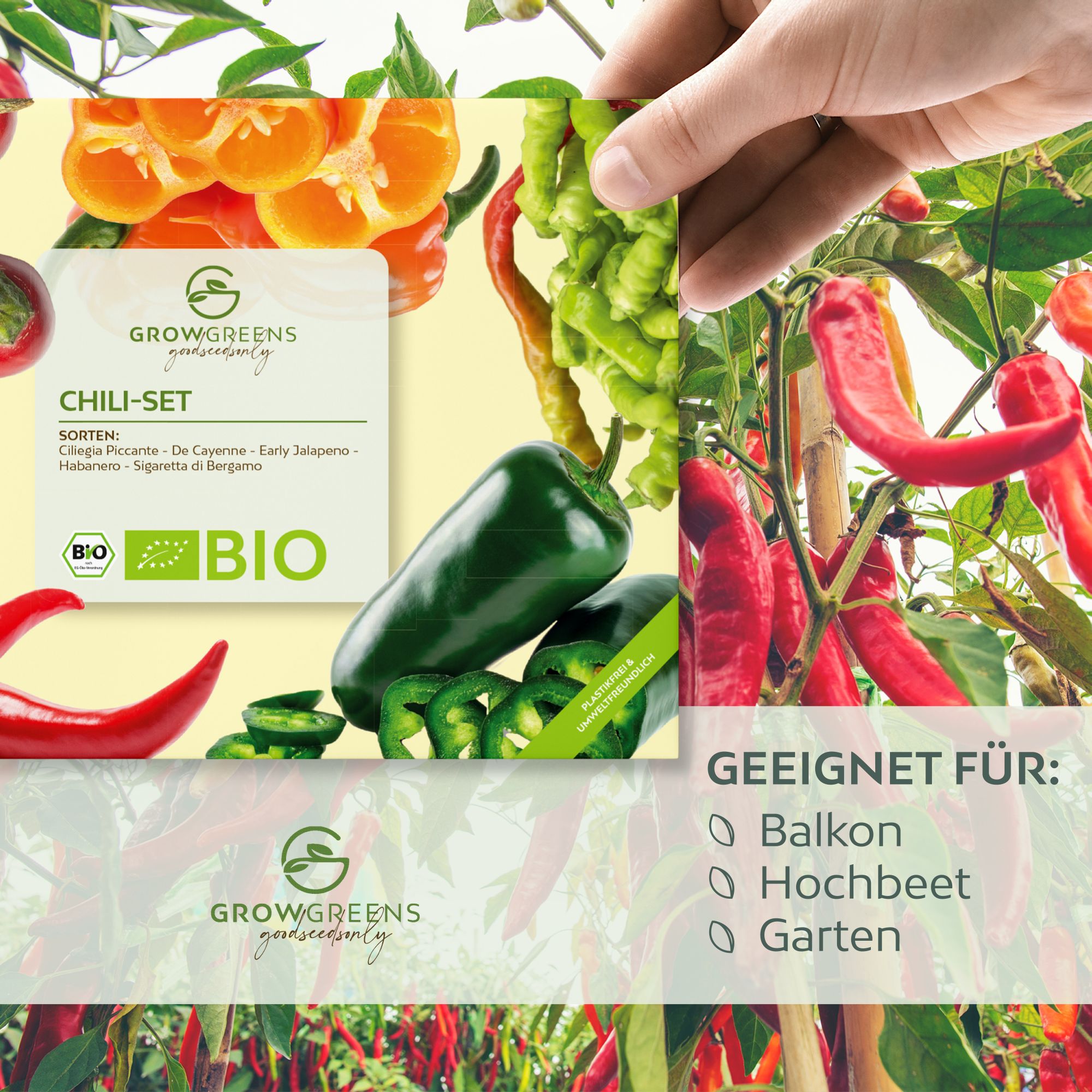 BIO Chilisamen Set (5 Sorten) - Chili Saatgut aus biologischem Anbau