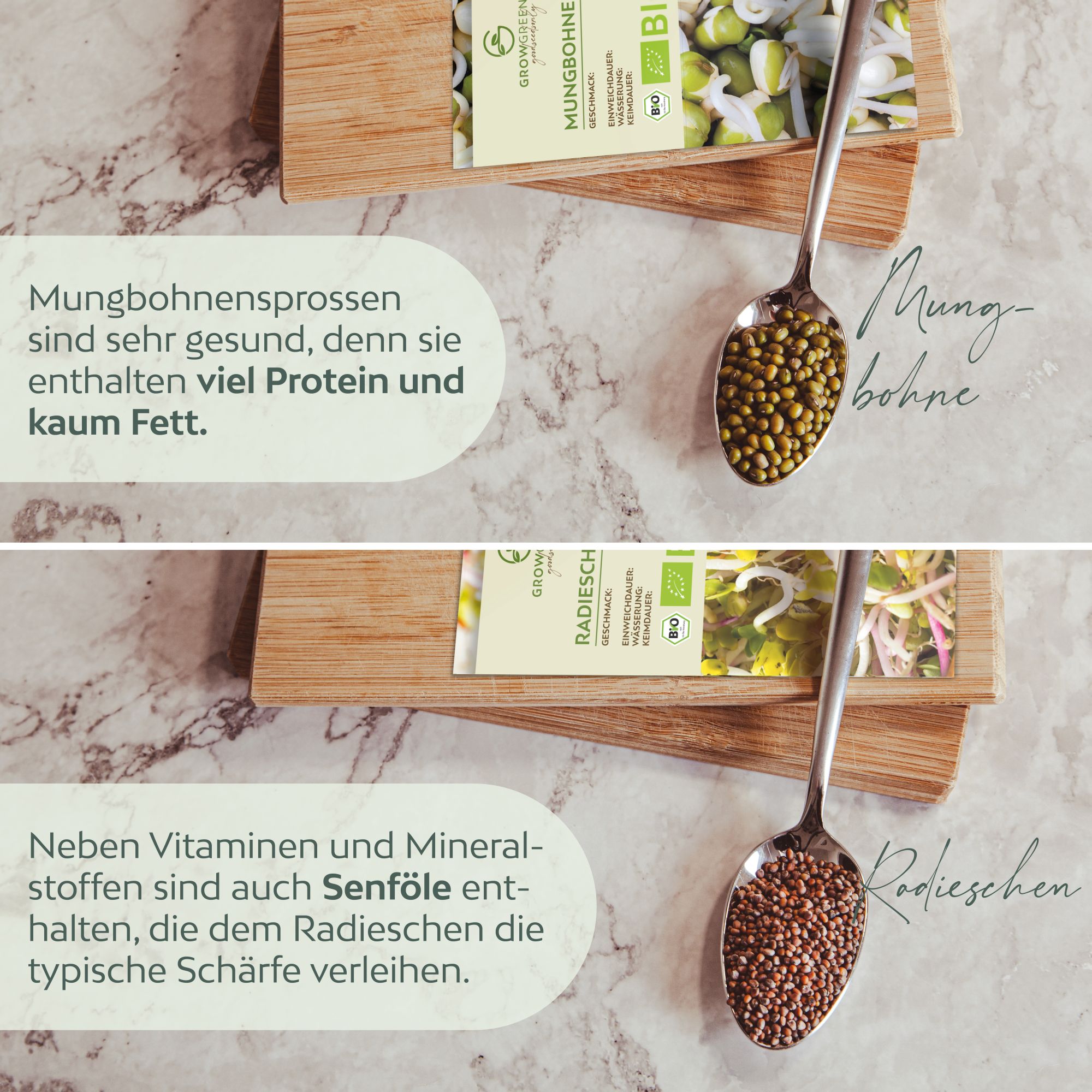 BIO Sprossen Samen (6 Sorten) - Microgreens Saatgut ideal für die Anzucht von knackigen Keimsprossen