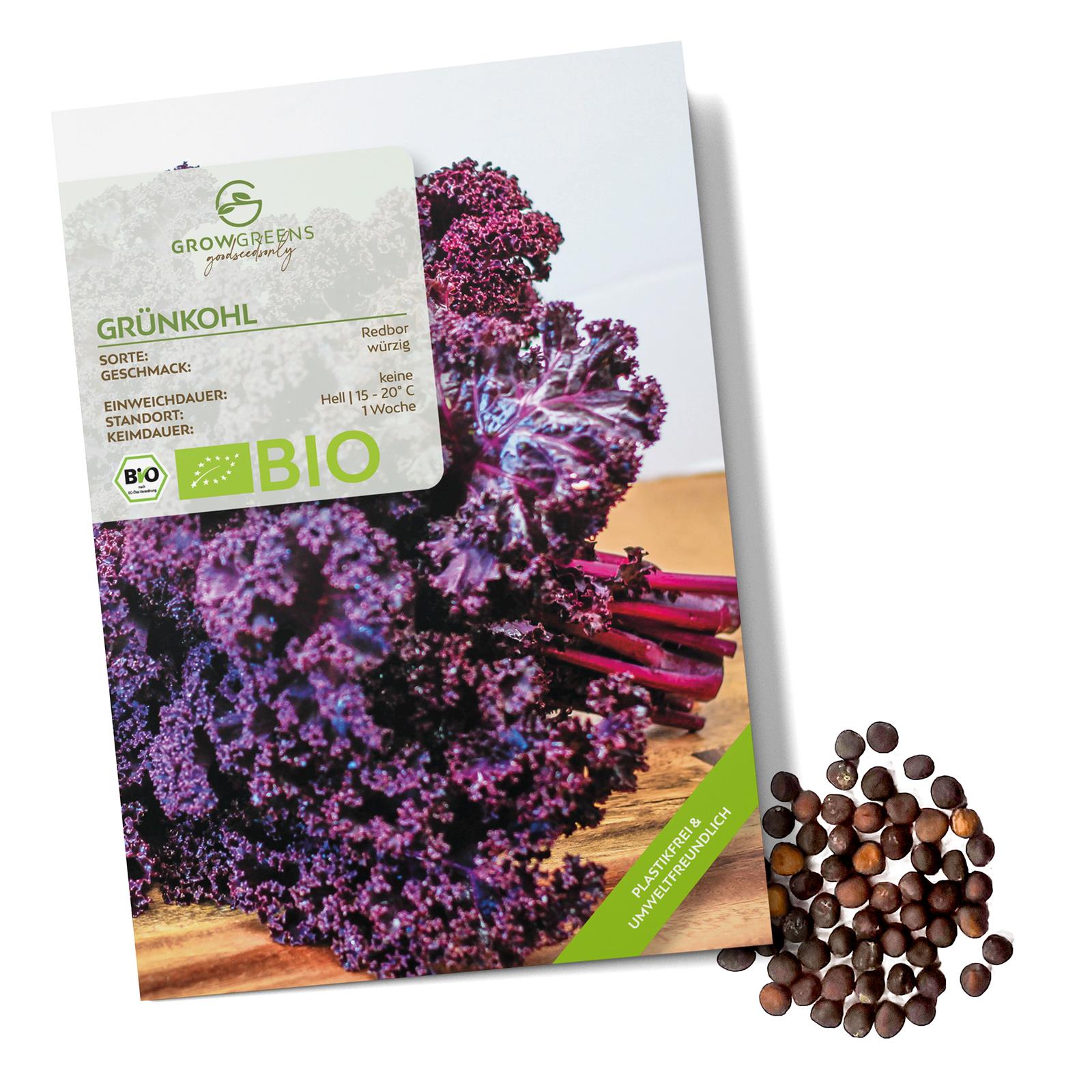 BIO Grünkohl Samen (Redbor) - Grünkohl Saatgut aus biologischem Anbau (25 Korn)