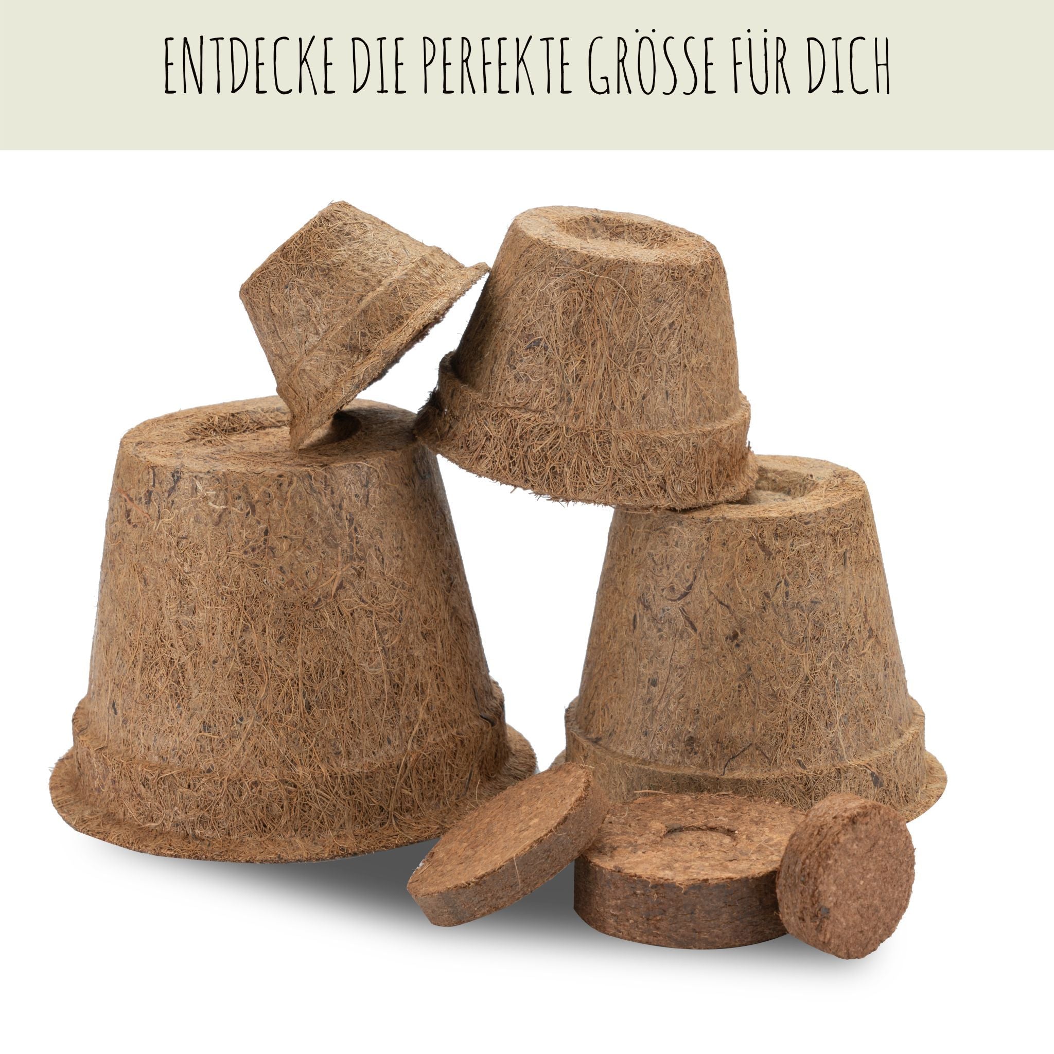 Kokos Anzuchttöpfe & Quelltabletten für eine erfolgreiche Anzucht -torffrei- Größe 0,05 L - Ø 6 cm