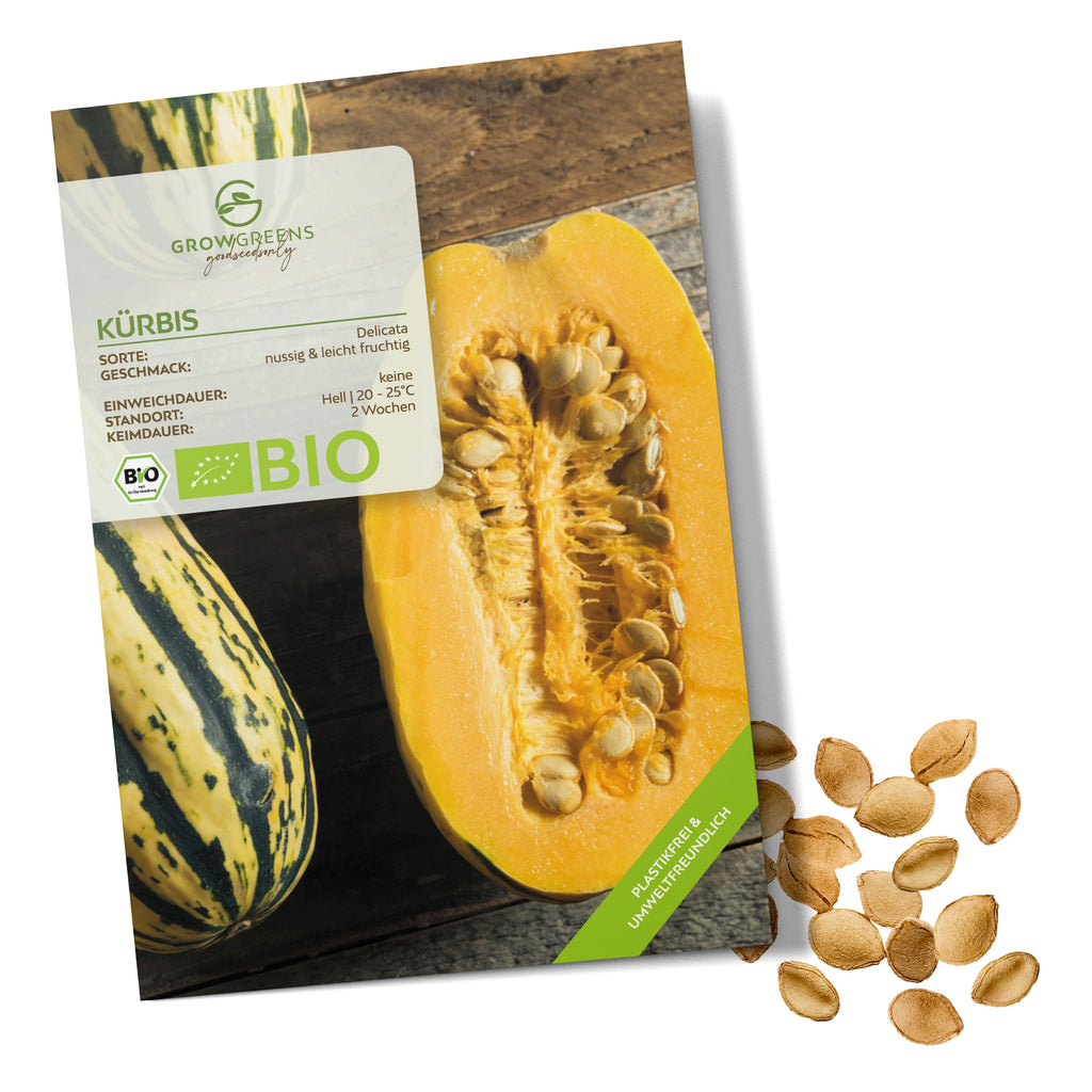BIO Kürbis Samen (Delicata)