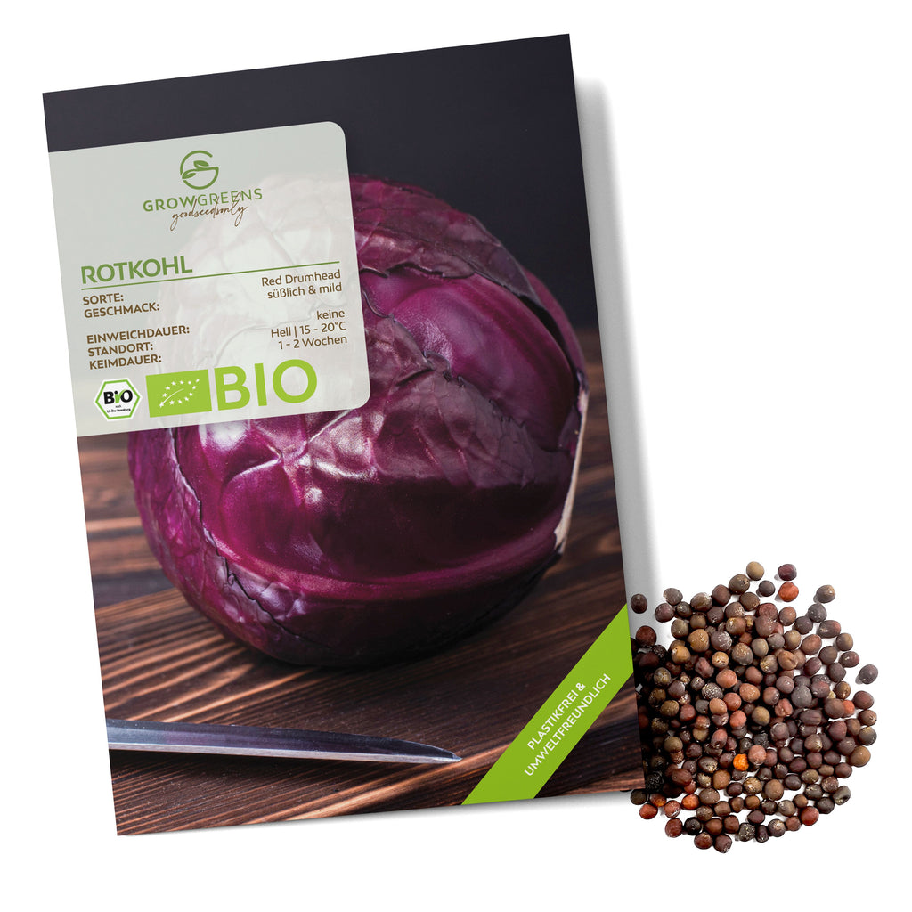 rotkohl saatgut BIO Rotkohl Samen (Red Drumhead)