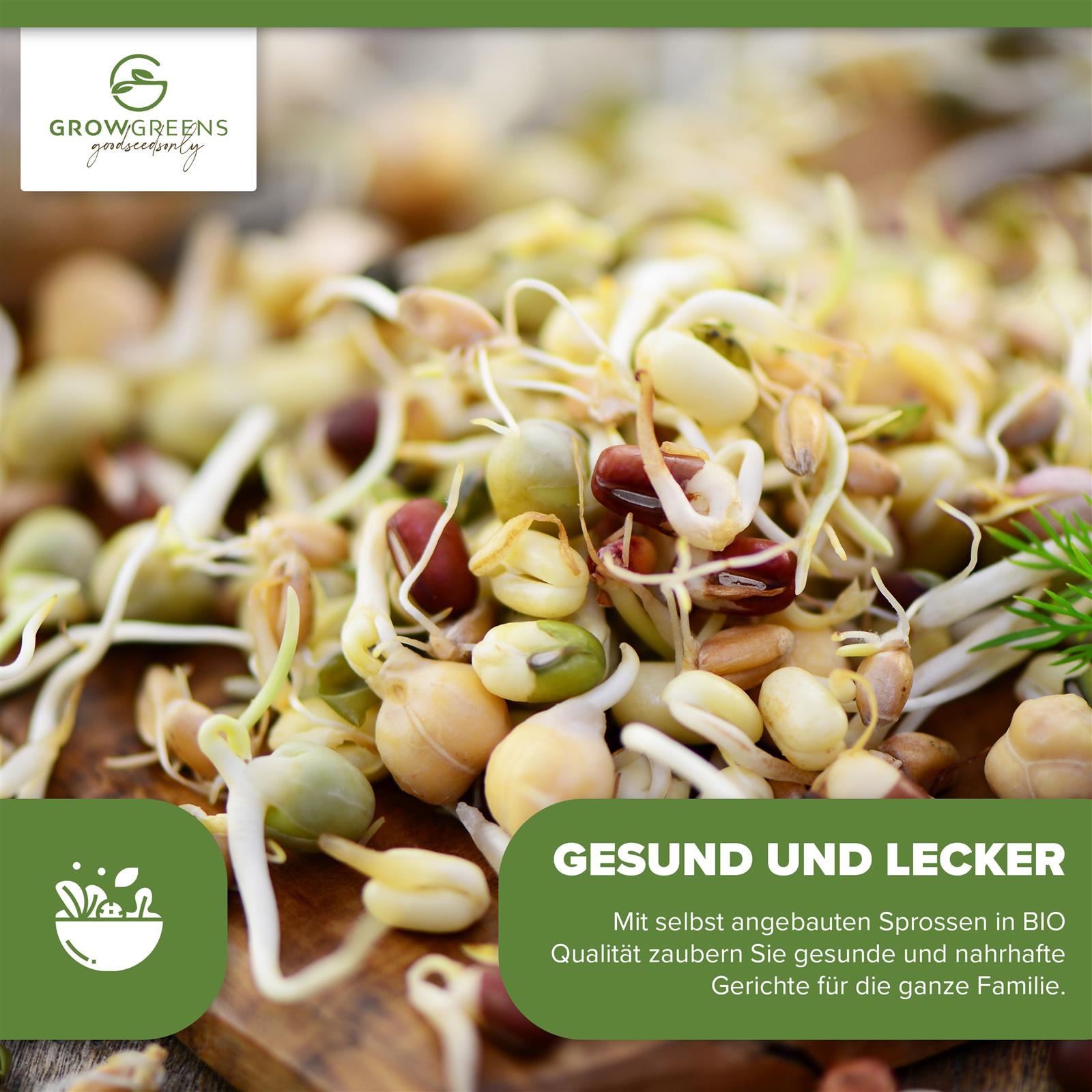 BIO Mungbohne Sprossen Samen (50g) - Microgreens Saatgut ideal für die Anzucht von knackigen Keimsprossen
